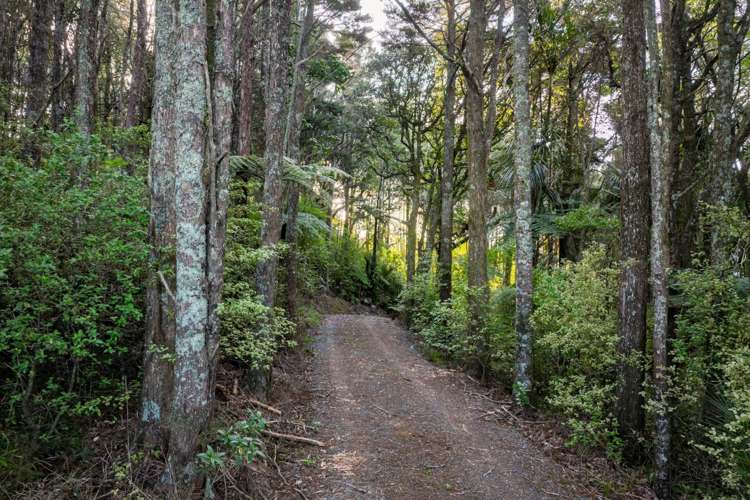 Lots 1 & 2 Carters Road West Mangawhai_21