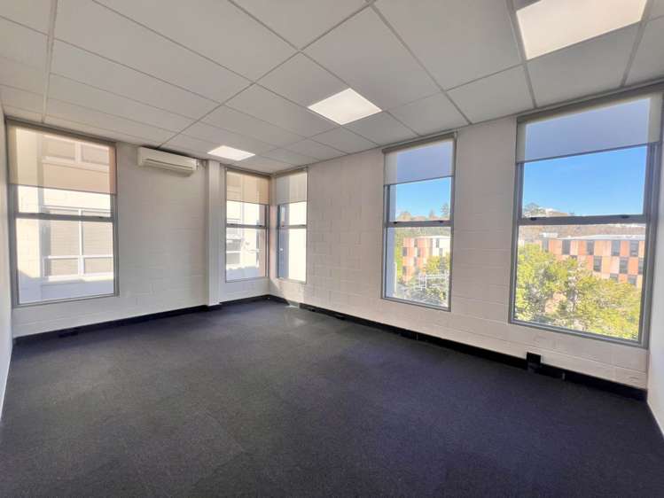 28 Heather Street Parnell_4