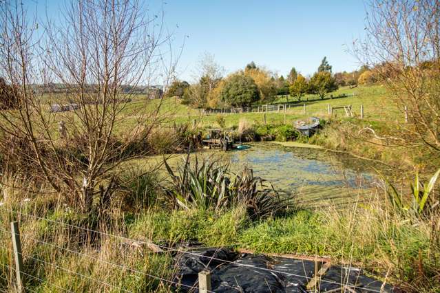 89C Mckinnon Road Mcnab_1