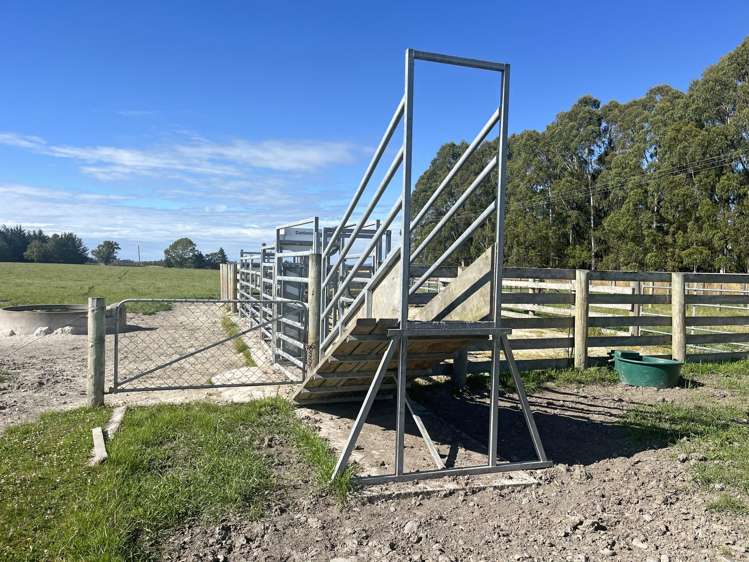 790 Alma-Maheno Road Reidston_8