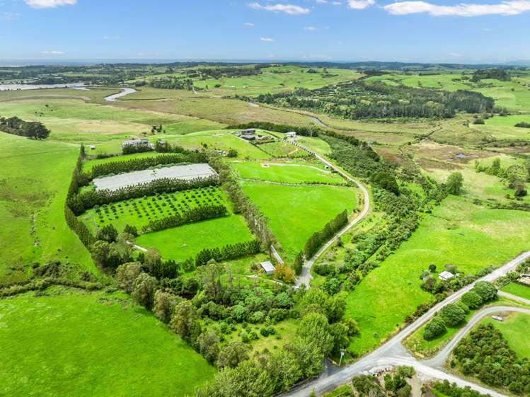 1/69 Vineyard Lane Mangawhai_11