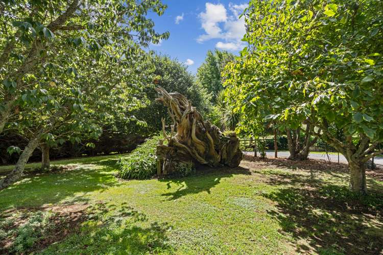 1475b State Highway 10 Kerikeri_9