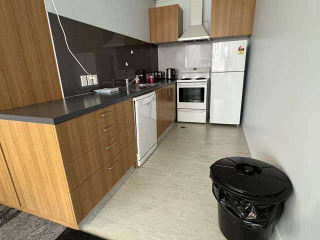  4C/107 Manners Street Te Aro_3