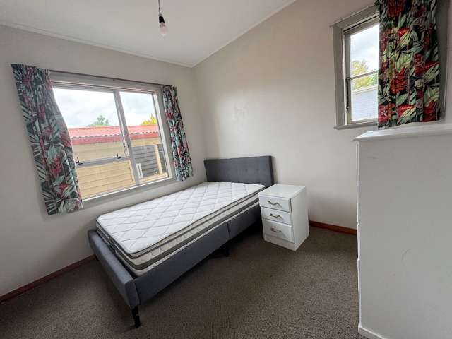 63 Centennial Avenue Riccarton_4