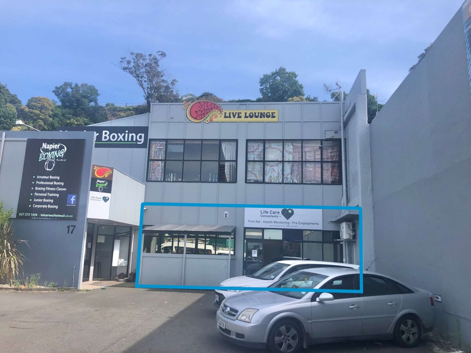 17 Carlyle Street Napier South_0