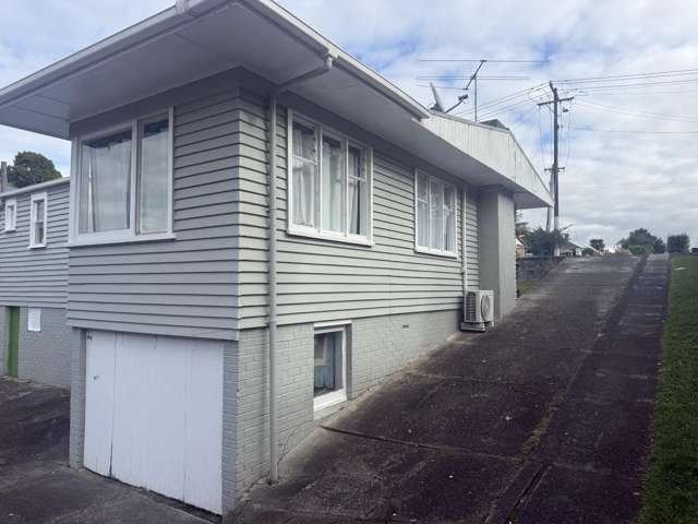 27 Holly Street Avondale_1