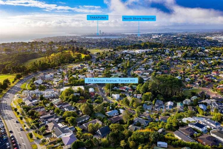 22a Morton Avenue Forrest Hill_23