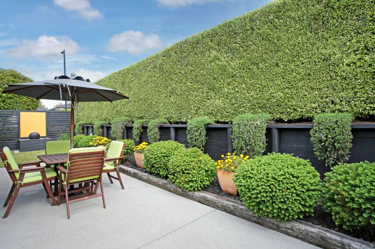 6 Mark Ball Drive Pokeno_21