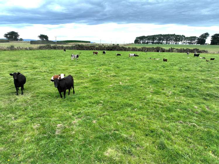 170 Taramoa Road Winton Surrounds_17