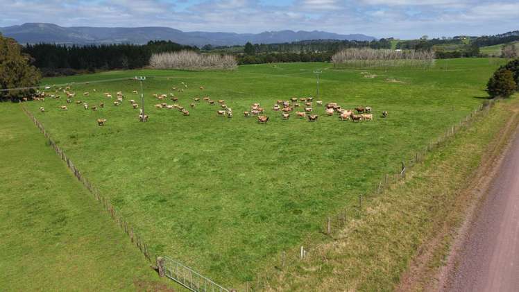 374 Rakauwahia Road Taheke_11