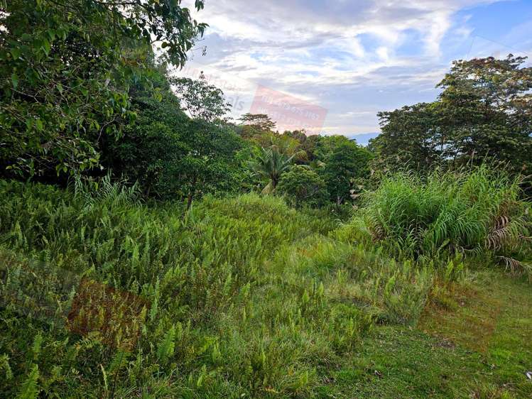 Address withheld Savusavu_14