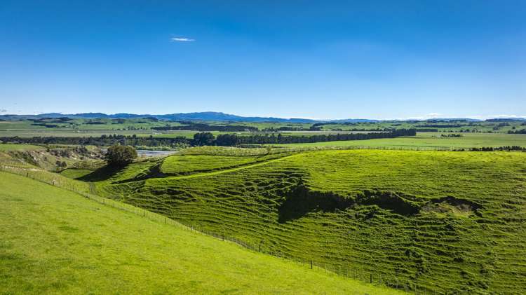 Aorangi Road (Lot 2)_5