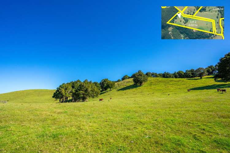 Telfer Road Parua Bay_18