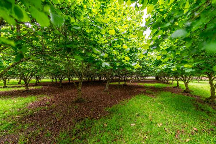 120 Summerleaze Road Otipua_9