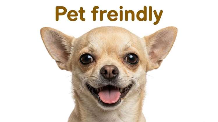 8/282 Point Chevalier Road Pt Chevalier_24