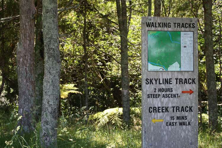 16 Woodleigh Lane Mangawhai_6