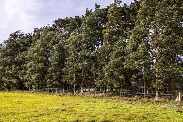 23 Settlement Road Greytown_9