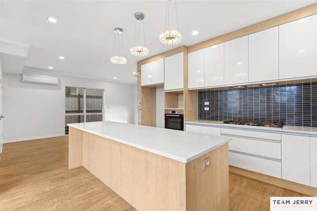 233 Murphys Road Flat Bush_4