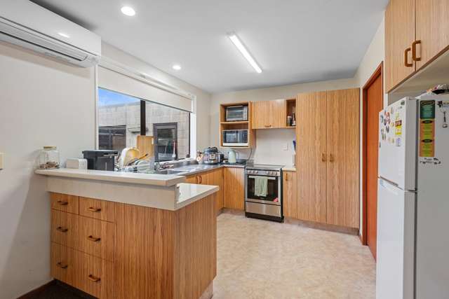 120A Elizabeth Street Riccarton_2