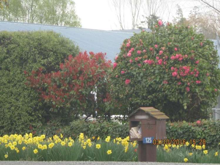 125 Main North Road Geraldine_31