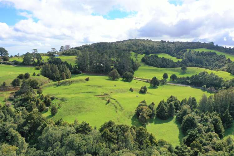 Lot 1 Katui Road Dargaville Surrounds_14