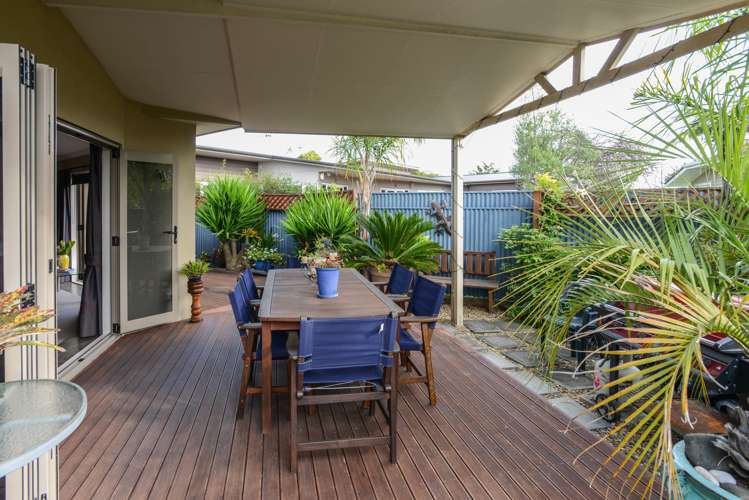 58a Avondale Road Taradale_4