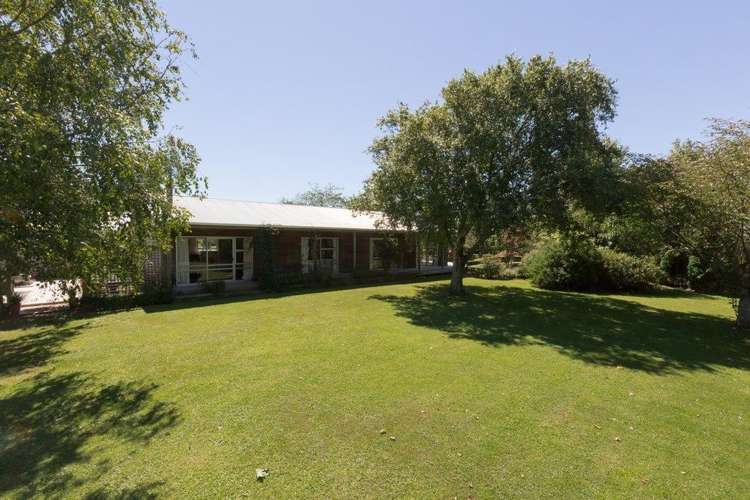 822 Kairanga Bunnythorpe Road Kairanga_6