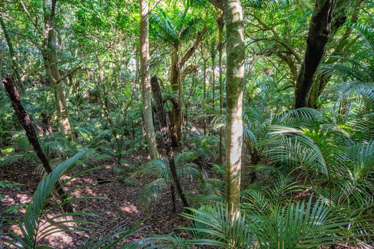 54 Goodwin Avenue Oneroa_13