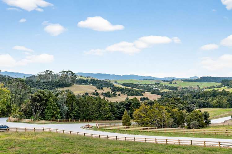 Mangawhai Bush Estate_5