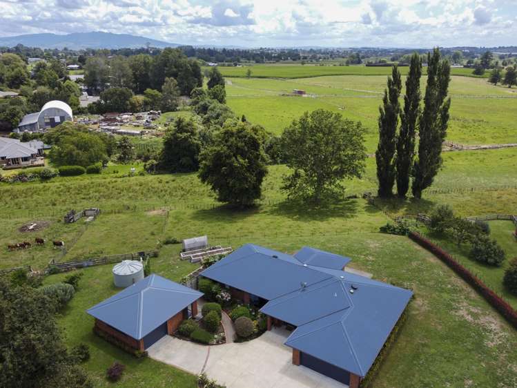 3/102 Herbert Street Kihikihi_1