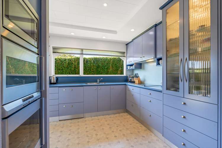 366 Point View Drive Shamrock Park_23