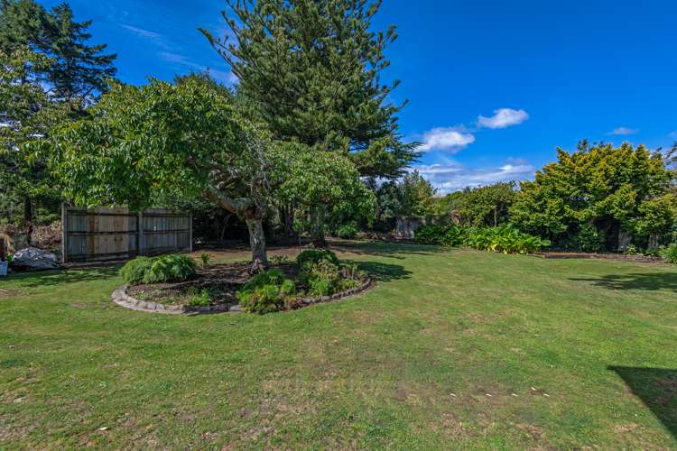 187 The Terrace Ashhurst_21