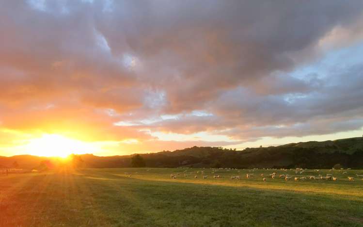 2/230 Clyde Road Burnside_17