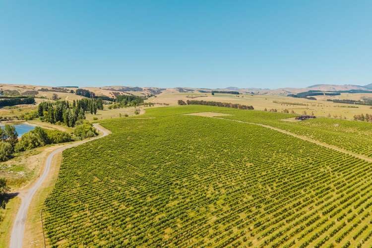 Lot 3 Willow Lane Martinborough_3