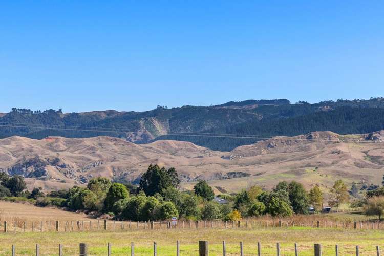 106 Andrews Road Onewhero_9