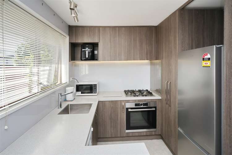 3/11 Third Street Belfast_3