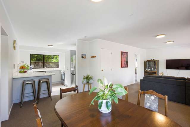 26a Fergusson Avenue Sandringham_2