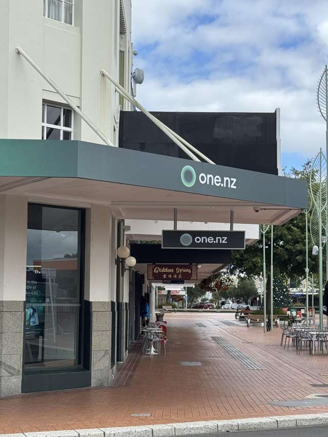 129 Heretaunga Street West Hastings_2