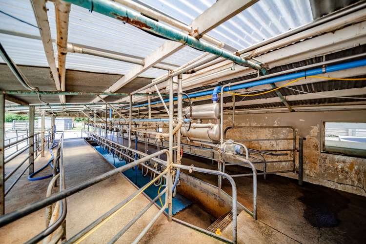 189 Gaisford Road Kumeroa_11