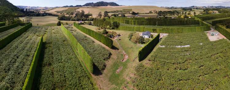 25a Fisher Road Waihi_16