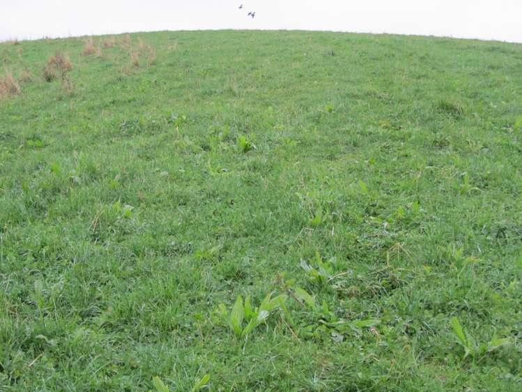 25 Keenan Road Tuatapere_26