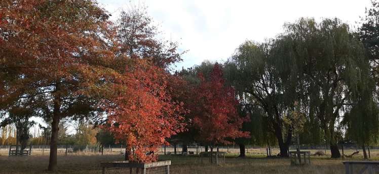 161 Island Road Kaiapoi_35