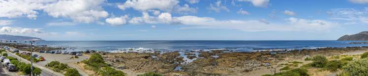 441 The Esplanade Island Bay_19