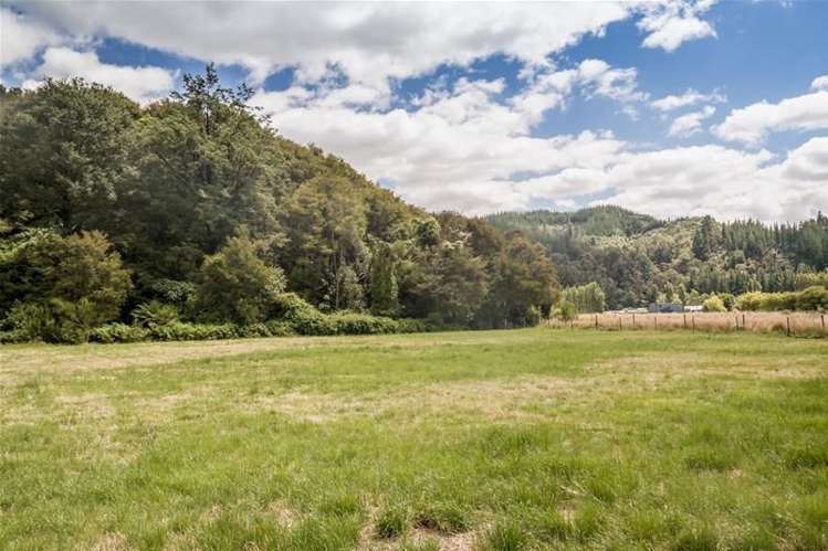 Camerons Road Havelock_9