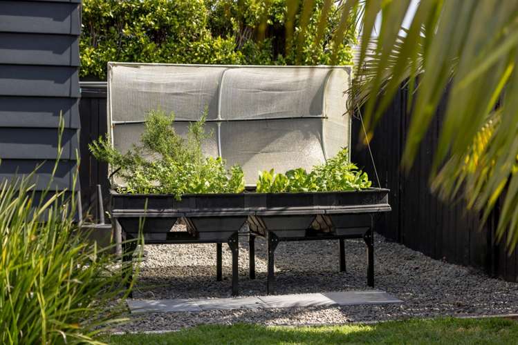 15 Cassinia Close Papamoa_34