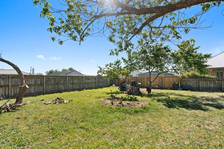 48 New York Street Martinborough_8