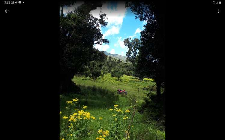 254 Doughboy Road Kokatahi_8