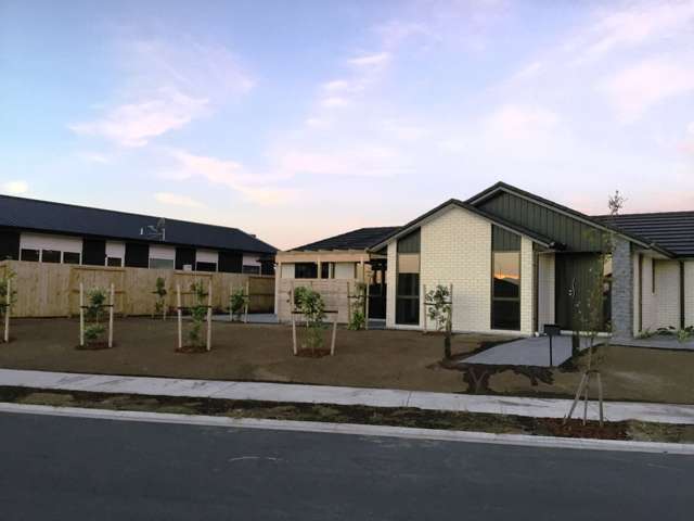 7 Farrier Street Papamoa_2