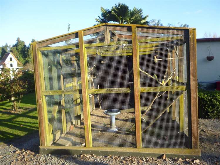 1375 Mcclure Street Pirongia_26