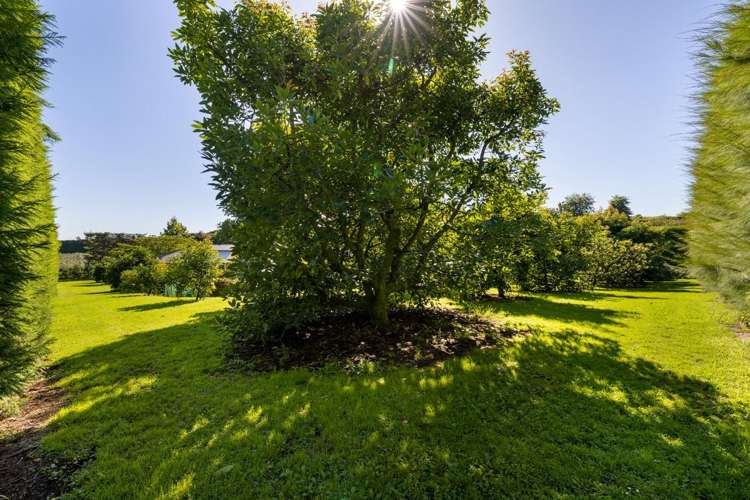 526d Belk Road Omanawa_34